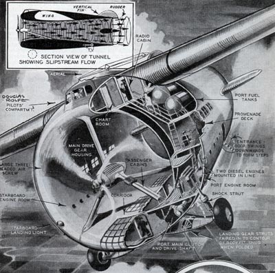 Avionul Stipa-Caproni (1)